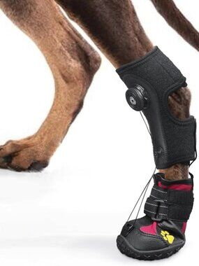 Drop Foot Brace with Reel(No Knuckling Boot Brace)